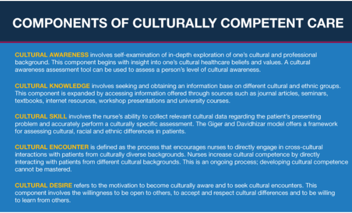 Compoents of culturally  competent care