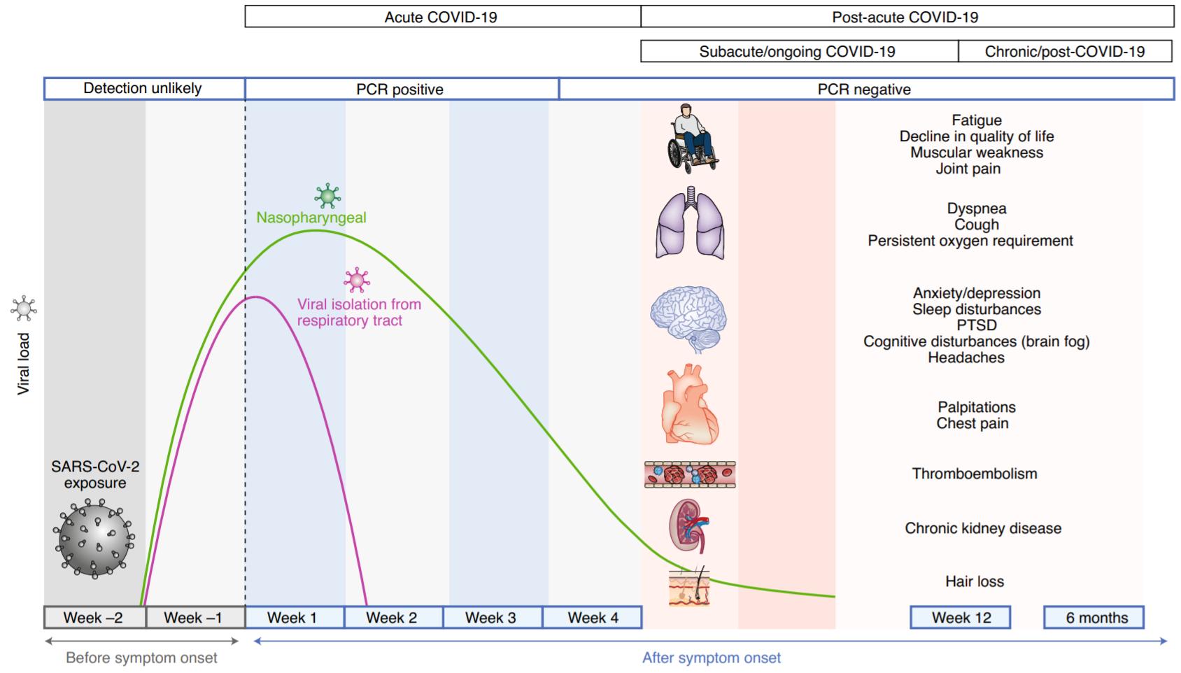 timeline of post-acute covid19 syndrome